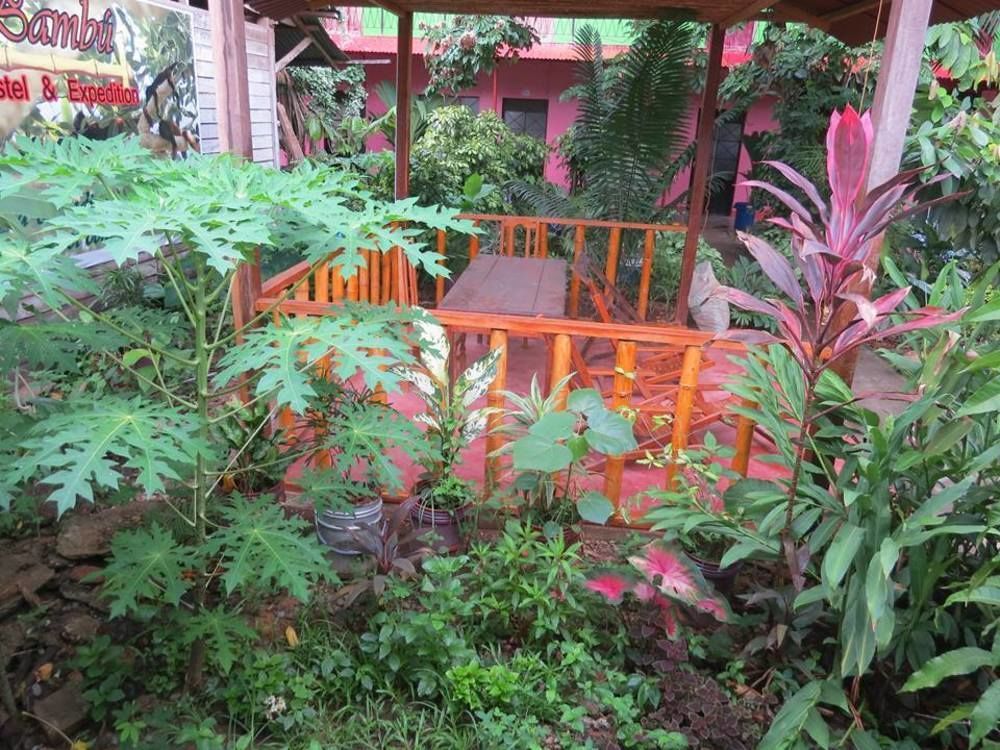 Tambopata Hostel Bambu Puerto Maldonado Exterior photo